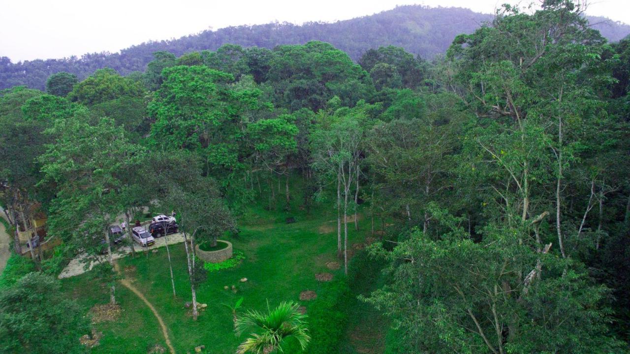 Coffee Routes Hotel Thekkady Exterior photo